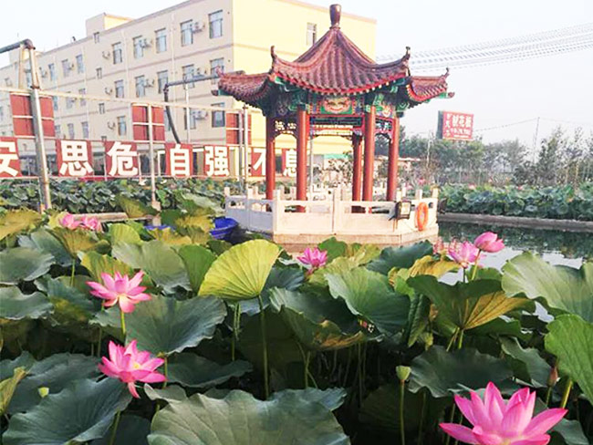 廠區(qū)一角